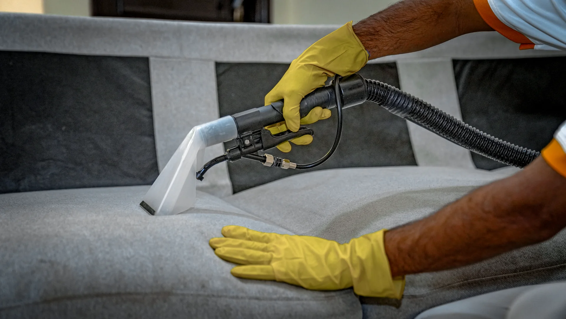 Upholstery Treatment by Specialists